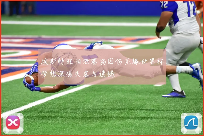 埃斯特旺泪洒赛场因伤无缘世界杯梦想深感失落与遗憾